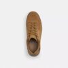 High Line Sneaker