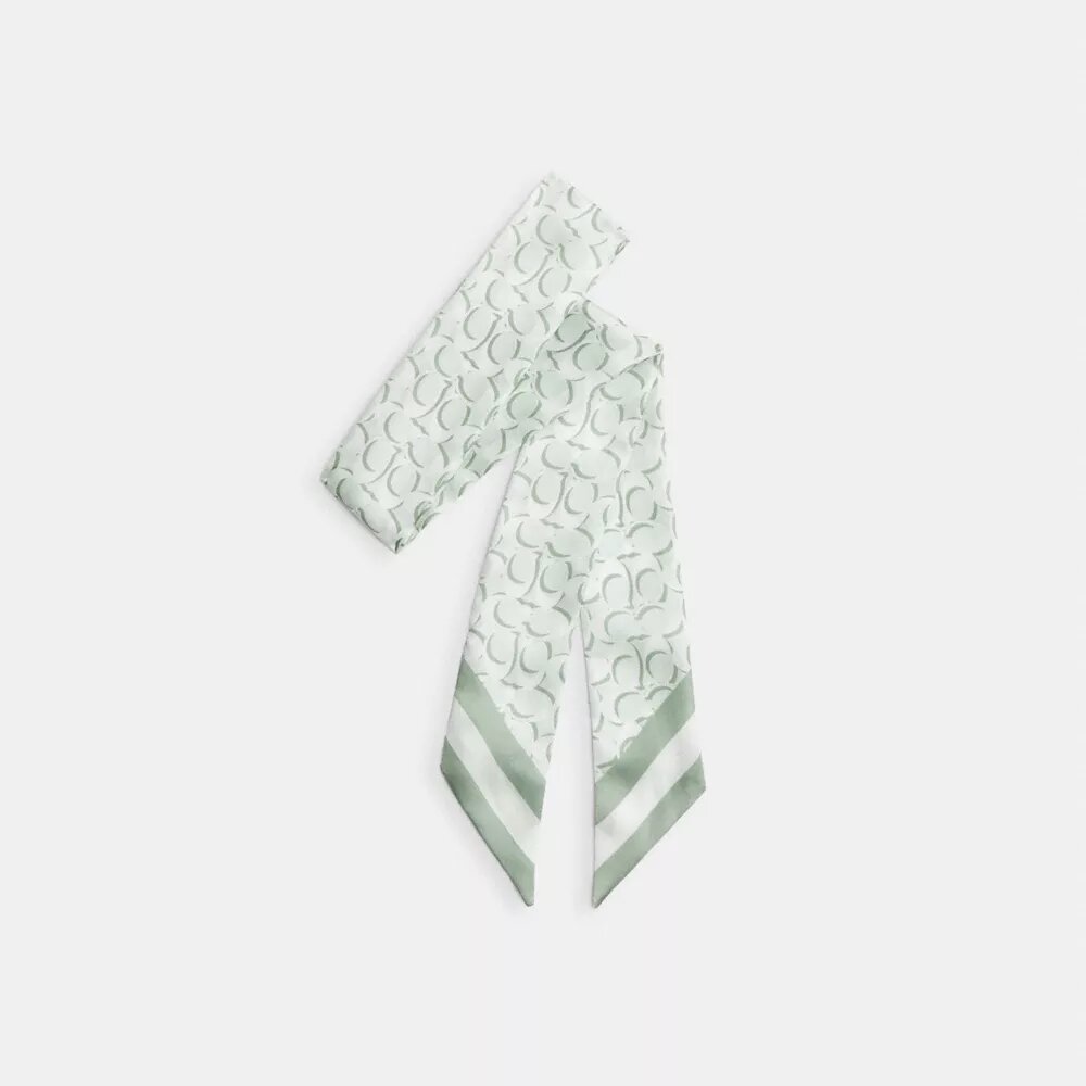 Signature Print Silk Skinny Scarf